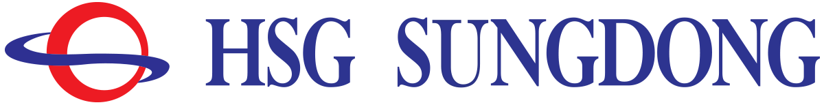 HSG Sungdong Shipbuilding